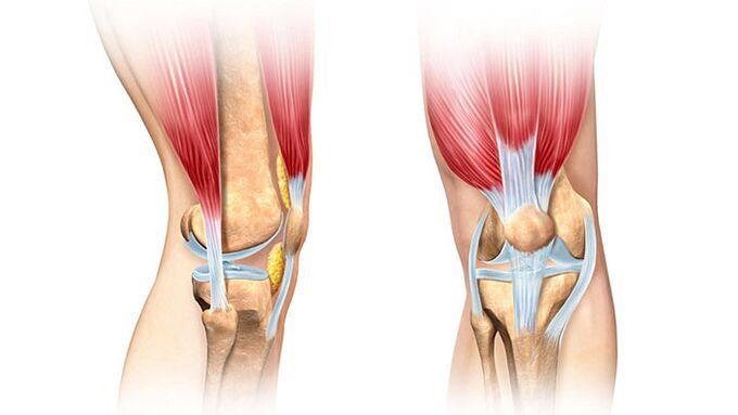 articulația genunchiului și tratamentul acesteia pentru durere
